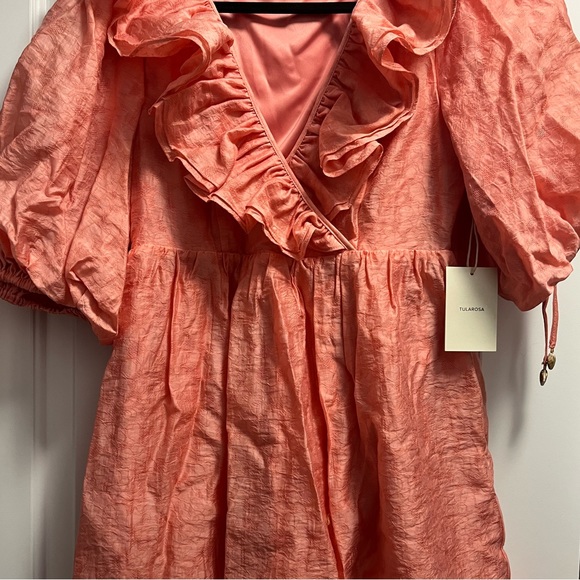 Tularosa Hailey Mini Dress - Picture 4 of 4